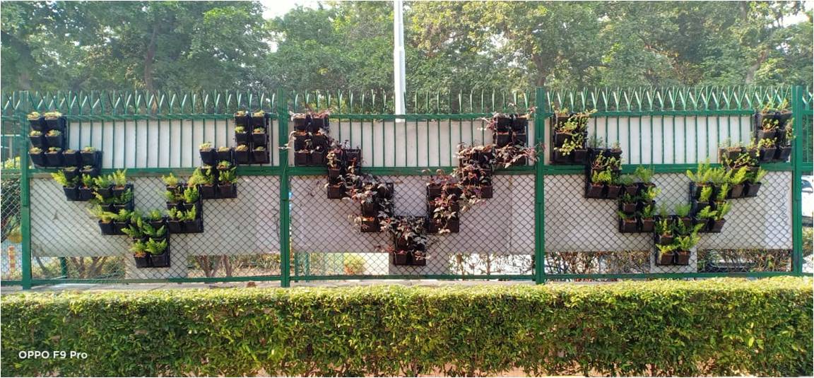 Saket Sports Complex DDA